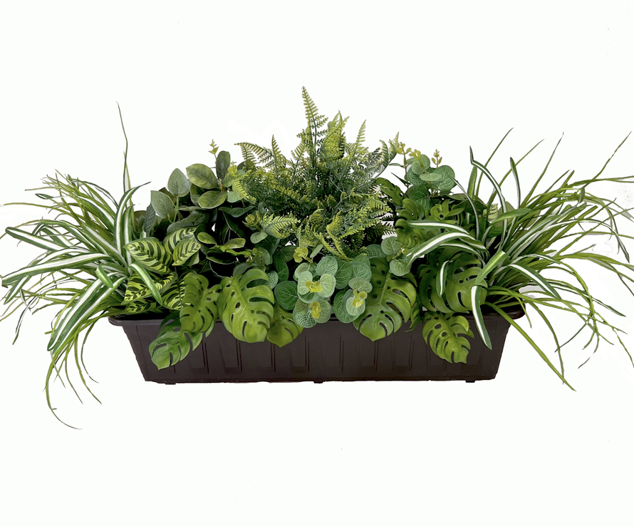 Truhlík kapradí 60x30cm