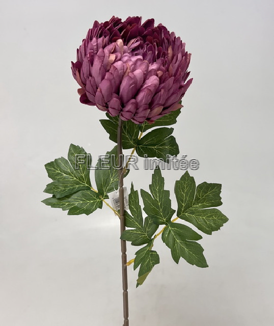 Chryzantéma x1 64cm 48/288