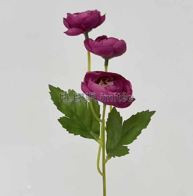 Ranunculus záp.31cm 36/288