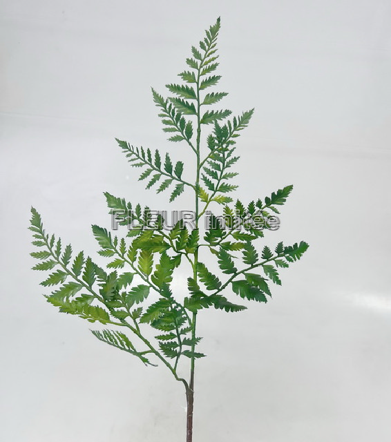 Kapradí x2 60cm 24/288