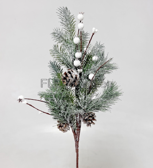 Chvojí  mix 68cm   24/192