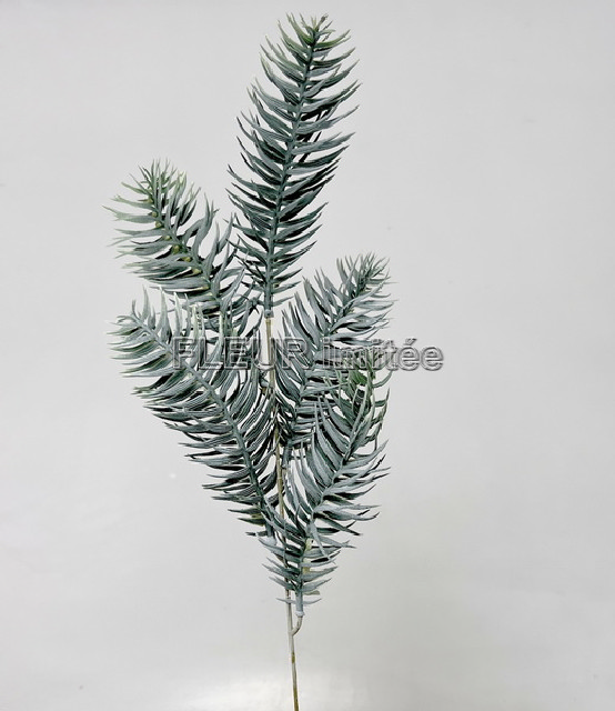 Chvojí jedle 58cm 48/480