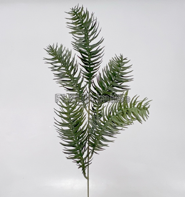 Chvojí jedle 58cm 48/480