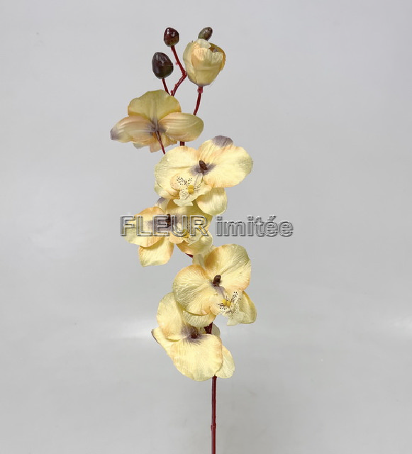  Orchidea 77cm 12/144