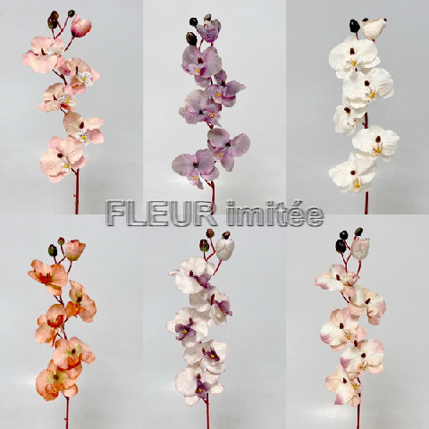  Orchidea 77cm 12/144
