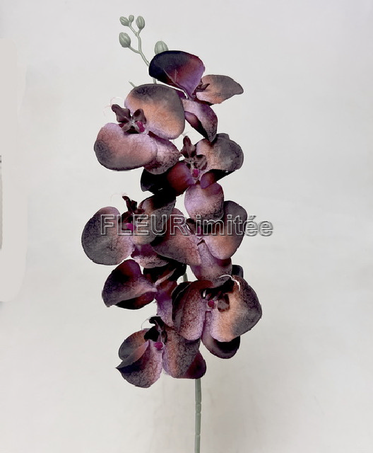 Orchidea  90cm latex  12/144