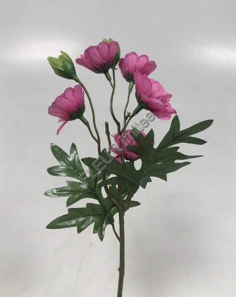 Kopretina mini 40cm 12/72