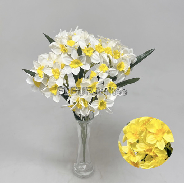 Narcis x5  50cm 48/192