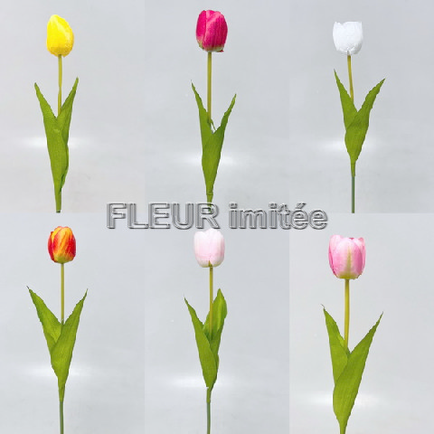 Tulipán x1 53cm 48/480