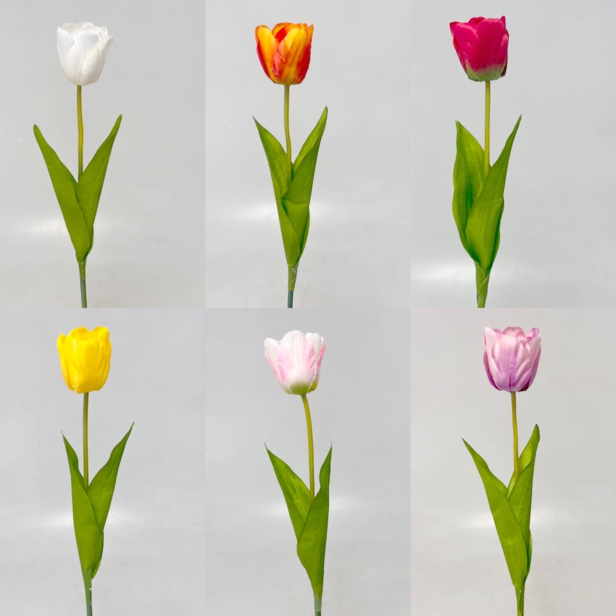 Tulipán x1 54cm 48/480