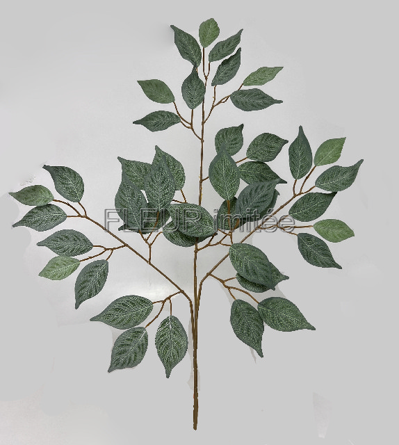 Větev fikus x3  65cm 12/360