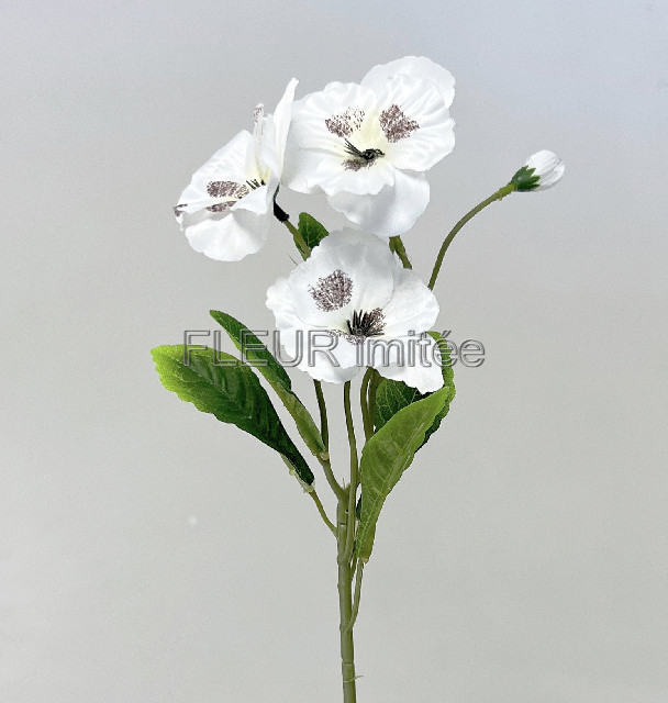 Maceška záp. 43cm 72/576