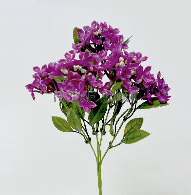 Šeřík x 5 30cm LATEX