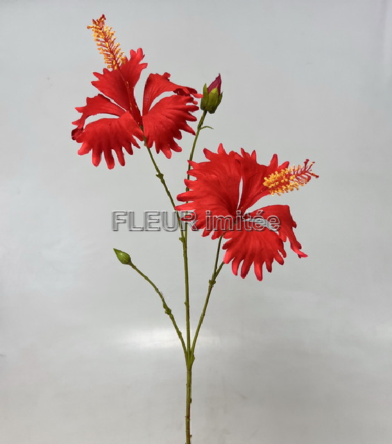 Ibišek x2 65cm 12/144