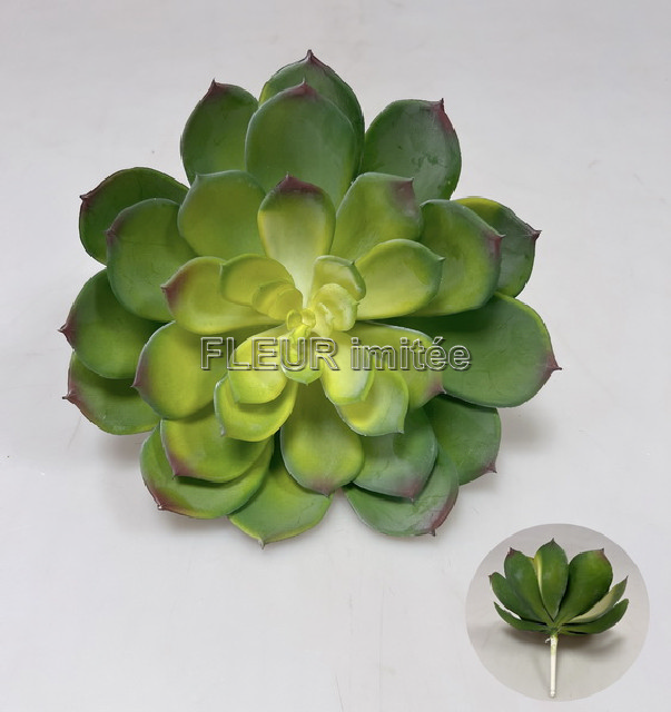 Sukulent 16cm  12/72