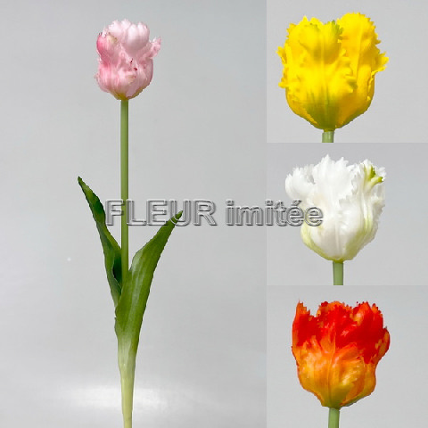 Tulipán latex 45cm 48/384