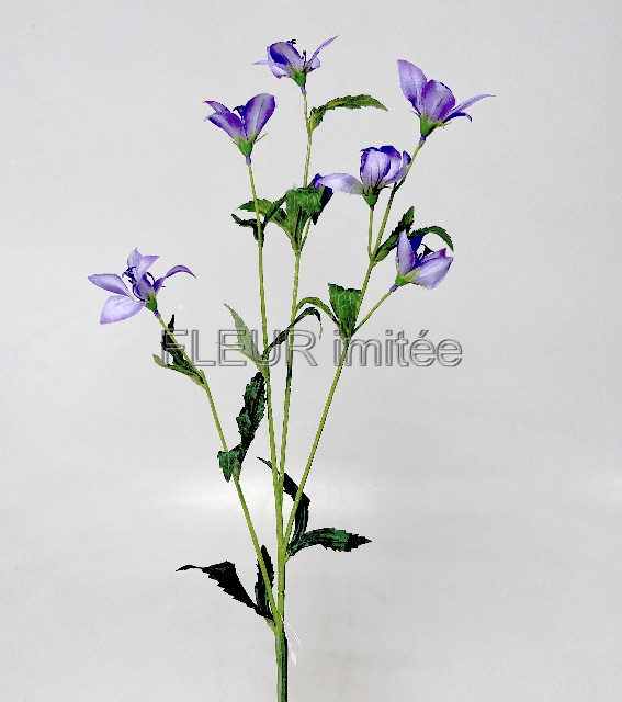 Zvonek polní x7 76cm  24/120