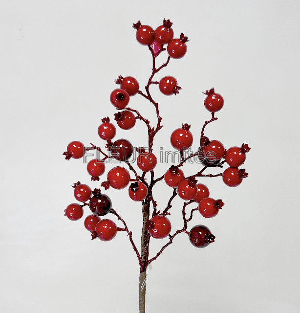 Šípek 44cm/30 bob.  24/168