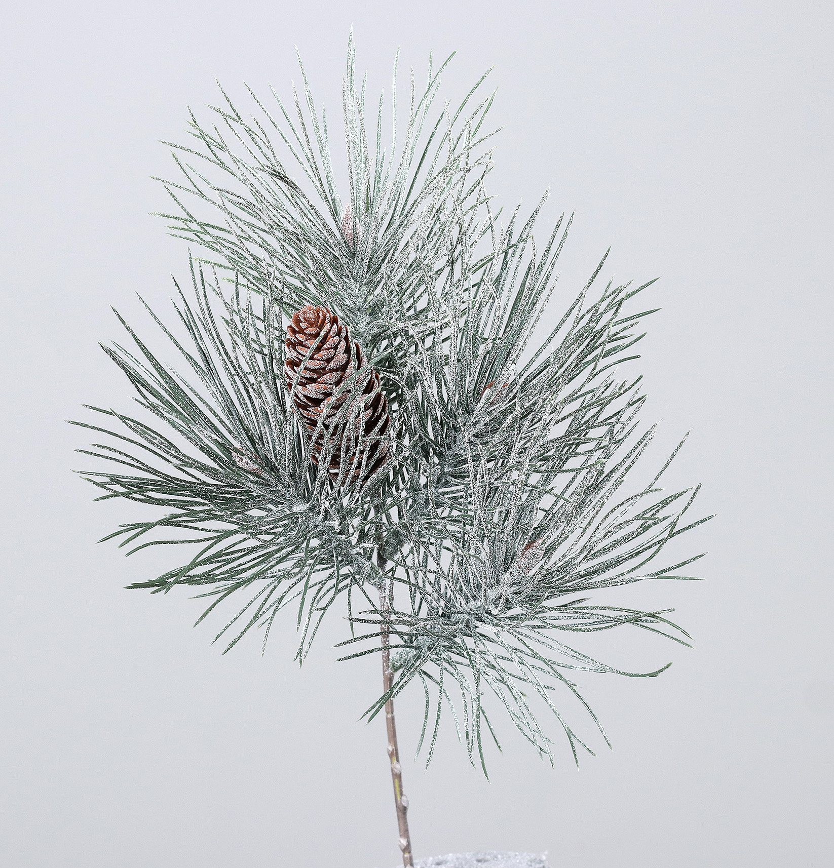 Chvojí se šiškou 40cm 12/144