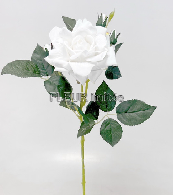 Růže velvet LUX 72cm 24/192