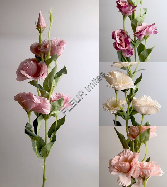 Eustoma x7 85cm S345  24/240