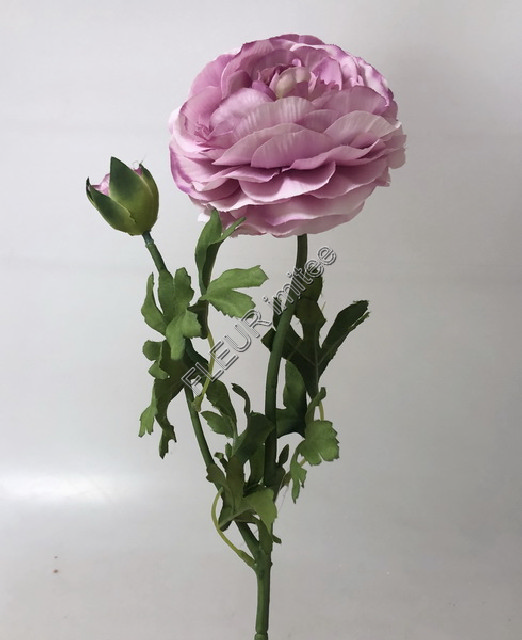 Ranunculus x2  60cm 12/360