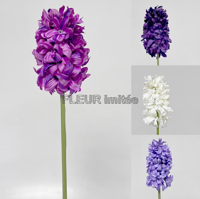 Hyacint x1 50cm 36/360