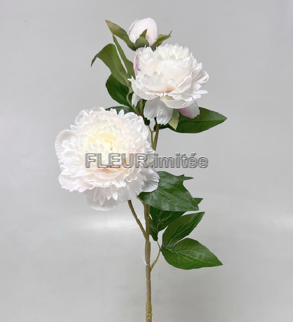 Pivoňka x3 75cm 24/192