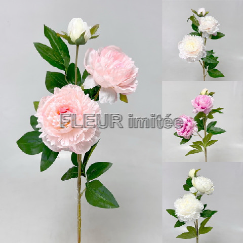 Pivoňka x3 75cm 24/192