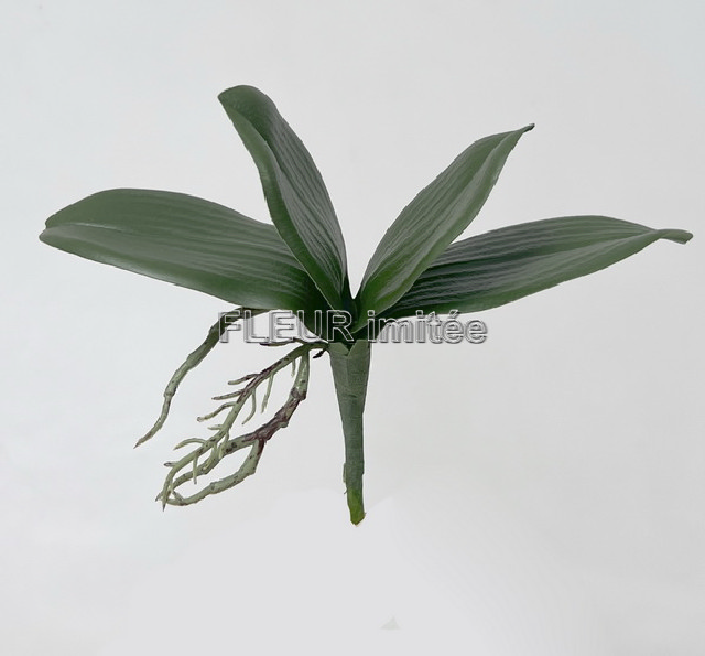Listy orchidea x4 22cm  12/60