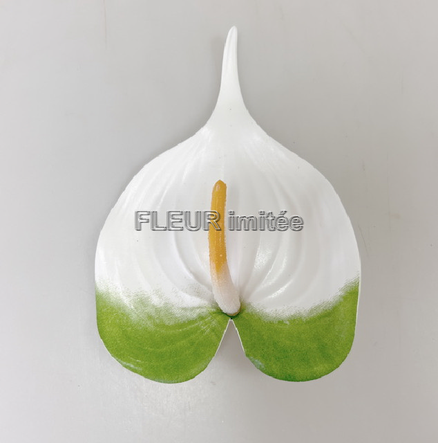 Květ anturie 19cm 12/96