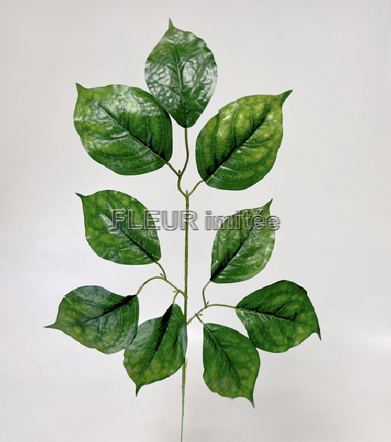 Větev lípa  55cm 12/864