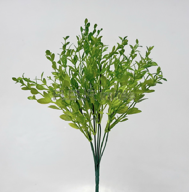 Buxus x7 36cm 6/96