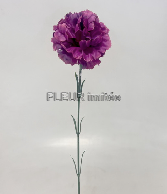 Karafiát x1 56cm 72/864