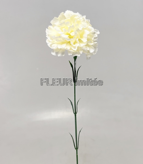 Karafiát x1 56cm 72/864