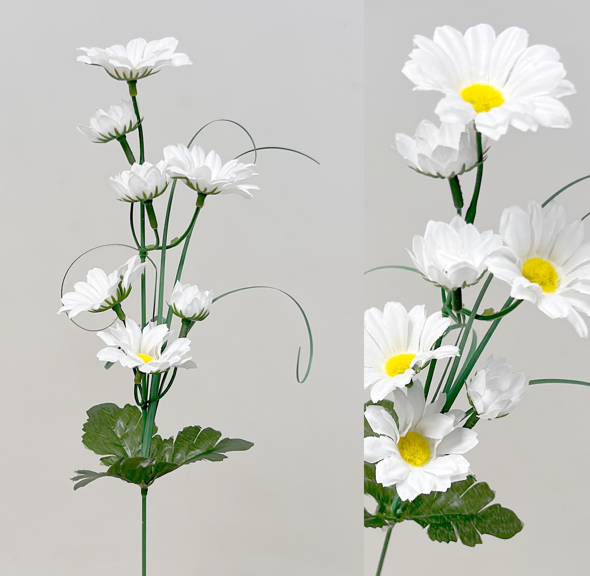 Kopretinax7 43cm 12/36