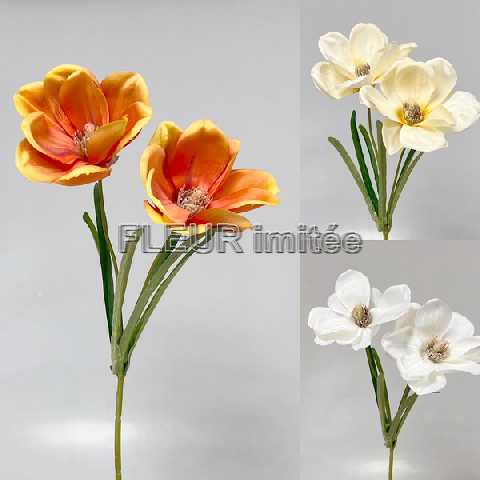 Magnolie x2 45cm   12/144