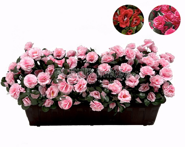 Truhlík azalka 60cm