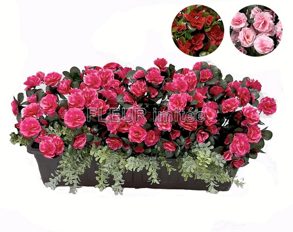 Truhlík azalka 60cm s buxus