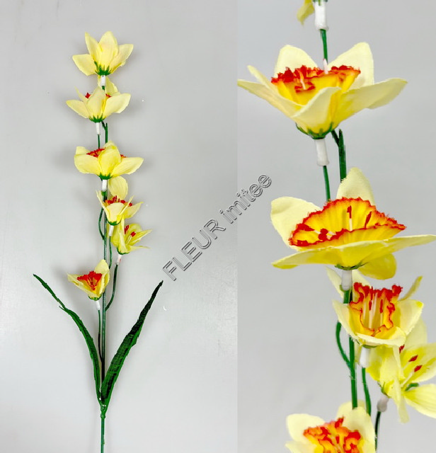 Narcis x1 6květů 50cm 72/864