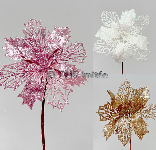 Poinsettia záp.pr.14cm 12/144