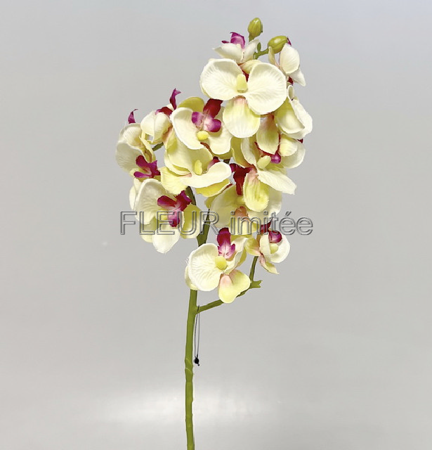 Orchidea x3  55cm 36/360