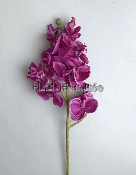 Orchidea x3  55cm 36/360