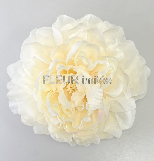 Květ pivoňka 16cm  12/360