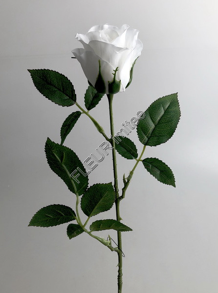 Růže poupě 60cm 48/480