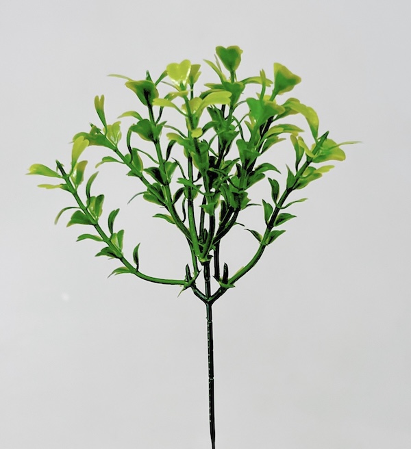Buxus  23cm 36/360