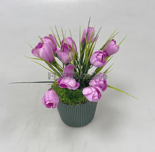 Květina v květináči č.12