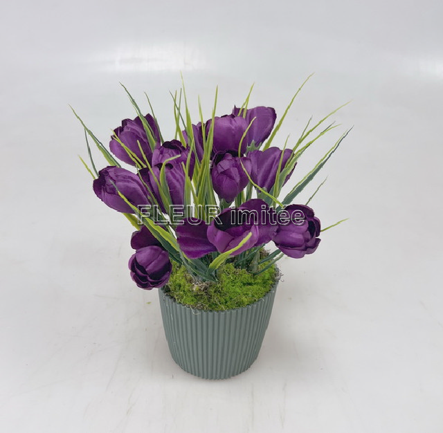 Květina v květináči č.12