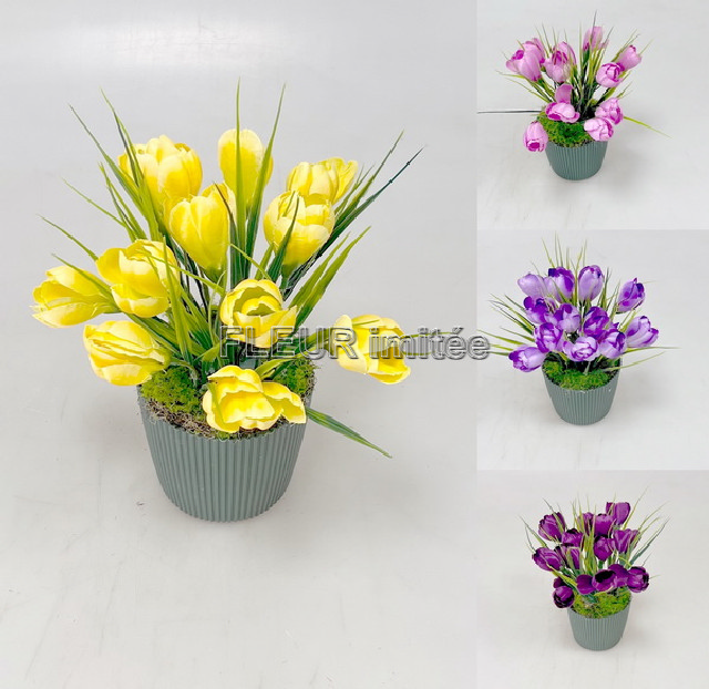 Květina v květináči č.12