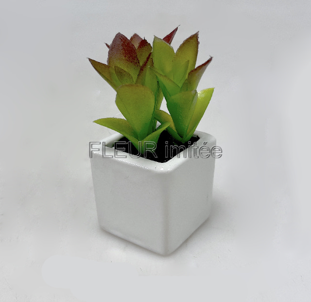 Sukulent mini 10cm vč.květníku